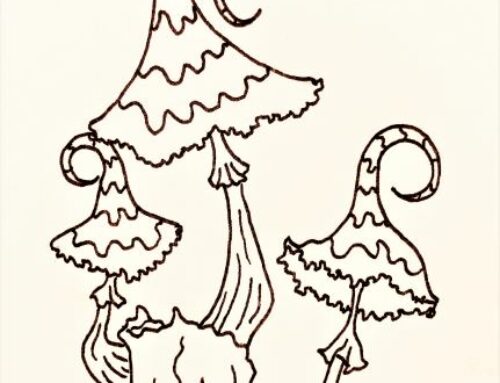 Why Mushrooms Pop – A Light Hearted Comic