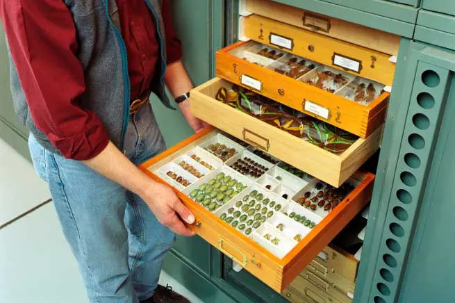 Bradford Systems Herbariums