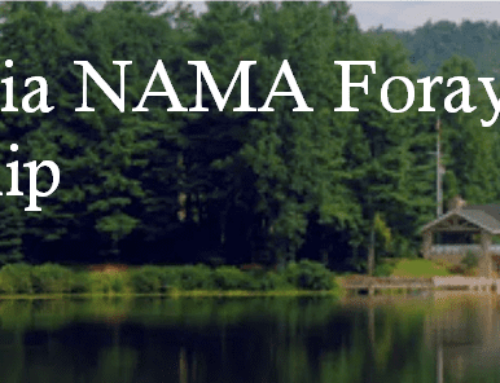 Appalachia NAMA Foray Scholarship