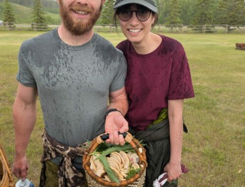 Pine Lake – June 15, 2025
