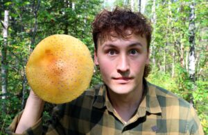 Ethan Zapach