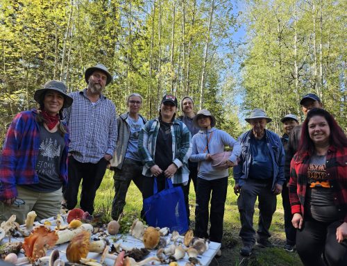 Poplar Creek Natural Area Foray & Stewardship Survey
