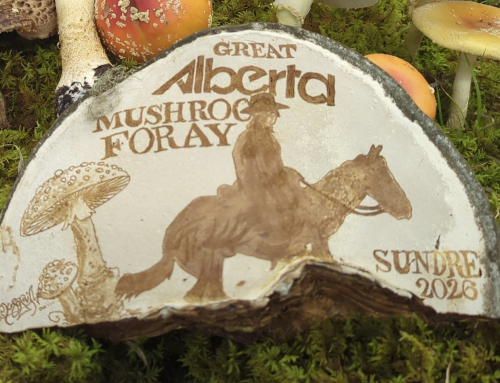 GAMF 2026 Sundre: September 4-7, 2026